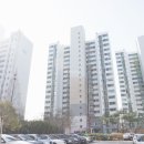 담방