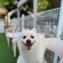 아이조아요양보호소 동탄점 이미지