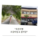하나마트 | 옥천 오감터널 등나무꽃, 풍미당 맛집까지