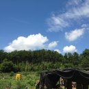 금당농장 이미지