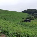 선두포낚시터 이미지