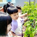 신용유치원 이미지