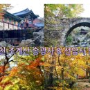 싱여동럭셔리여행사 - 강남구 테헤란로 327 | 싱여동럭셔리여행사