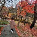 곤지암 리조트 : 어린이와 함께