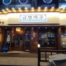 금별맥주한대앞역점 | [안산] 맥주 맛집! 금별맥주 안산한대앞역점 (내돈내산)