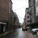 곰달래로(남측) 이미지