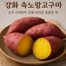 강화 속노랑고구마, 고려 시대부터 전해 내려온 달콤한 맛
