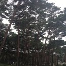 구름산장펜션
