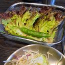 갈비애용