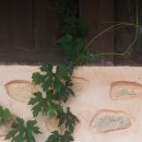 서망항2 이미지