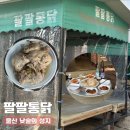 학성종합시장 | 울산 학성동 평상 낮술 가능한 노포 팔팔통닭, 40년 전통 야장 감성 맛집