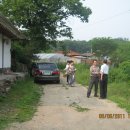 백마농장 이미지