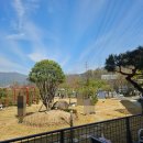 논-그래비티 | 동남지구 신상 베이커리 카페. 청주 유아 동반 카페. '그래비티 카페' 내돈내산 후기