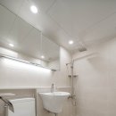 국제백양 이미지