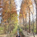 경주산림환경연구원 | 경주 천년숲정원 경북 산림환경연구원 경주 천년의숲