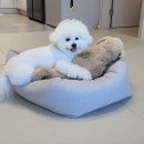 견생템 이미지
