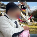 잠원강변 | 한강 애견동반 유람선 잠원한강