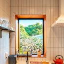 빈도롱이 이미지