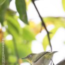 현대산업 이미지