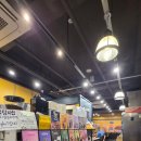 컴포즈커피제주제원점 | 컴포즈커피 여름 신메뉴 제주 한라봉 스무디 후기! 3,600원 할인 행사 중이라 마셔봤어요