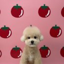 반야시스터 이미지