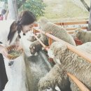 이벤트) 설연휴 첫날 새해 복 많이 받으세요^^ 이미지