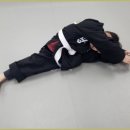 화랑 합기도 특공무술 이미지