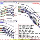 파동 이미지