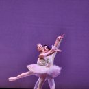 호두까기 인형 공연[광주로얄발레단] 함께하다.12.7. 이미지