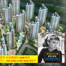 효성태권도 이미지