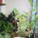 천수만농장 이미지