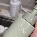 풀잎향기 | 향좋은 핸드워시추천 라라센트 포레스트가든 라라센트 향기 좋은 거품형 퍼퓸 핸드워시 후기