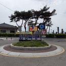호남젓갈판매장 | 궁평항 수산물 직판장 B동 갈매기호 추천 도다리회