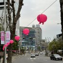 철쭉동산 앞 횡단보도(도장중학교 건너편) | 군포시민이 알려주는 철쭉동산 군포 철쭉축제, 경기 가볼 만한 곳(가는 길, 주차장)
