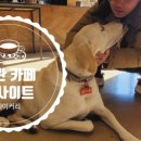 왜관연세우유