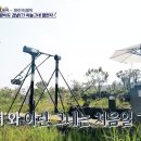 제주파크투어 이미지