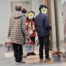 마포어르신돌봄통합센터 | 안양안산과천,돌봄센터 초센터피스 만들기와 나눔으로 완성한 힐링 원예 프로그램 후기