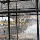 양계장닭한마리 이미지