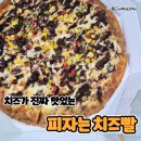 대전 피자 맛집 피자는 치즈빨, 불고기 피자와 통치즈스틱 후기