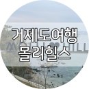 몰리힐스(MOLLI HILLS) 이미지