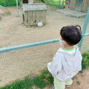 전남도청비둘기어린이집 이미지