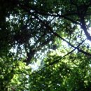 굿모닝LPG충전소 이미지