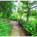 상보안세월교 이미지