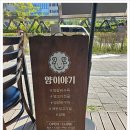 양이야기 이미지