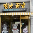 견생냥품무인24시양주덕계점 | [양주 애견용품] 24시 언제나 편리한 무인 펫샵, '멍냥꽁냥 옥정2호점' 방문기! (feat. 옥정강아지...