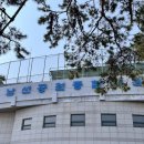 기타입문초급 | 대전 남선공원 종합체육관 수영 강습 초급반 등록 및 5개월 수강 후기