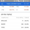 Tiger 소프트웨어 ETF 이미지