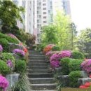 신공덕공인중개사사무소 이미지