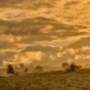 북문길48 | 순천 맛집 추천, 현지인 찐 후기 TOP 10