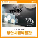 제기15 | 양산시립박물관 2025 특별기획전 양산 자기소 관람 후기